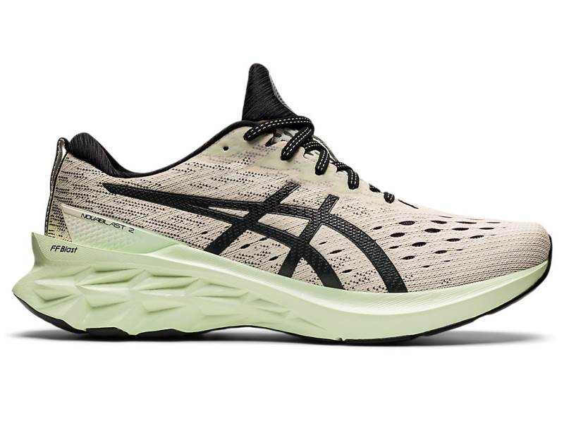 Pánské Běžecké Boty Asics NOVABLAST 2 Béžový 04573GIXY